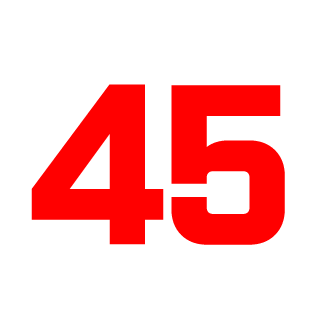 MAGA-45's emblem