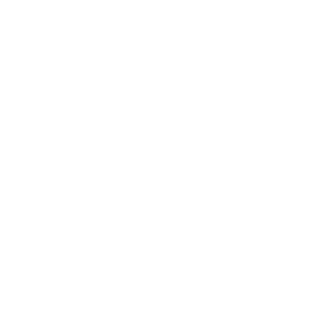 ROK_SpecialBoom's emblem