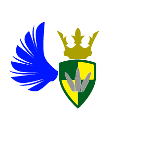 N1GTHCR0W's emblem