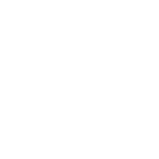 BalcerJr's emblem