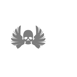 ace49d's emblem