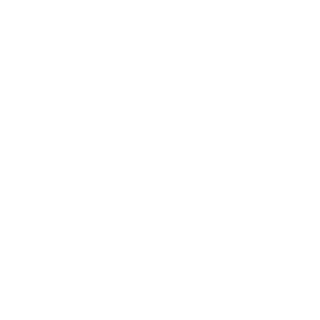 LikedJupiter93's emblem