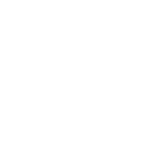 CUSTOMSHOP54's emblem