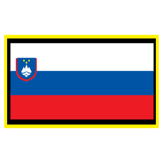 GERMANATOR1313's emblem