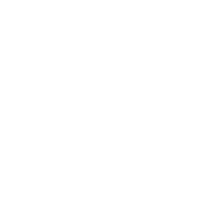 A1anDizaster's emblem