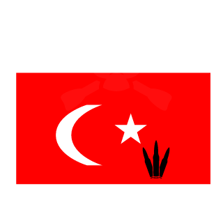 EnVer_PaSa50500's emblem