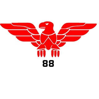 n4pi's emblem