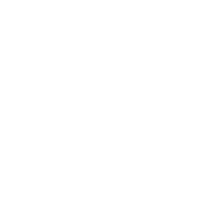 Im_XenoN_SvK's emblem