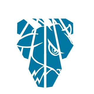 475290's emblem