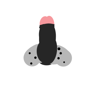 zpqn2's emblem