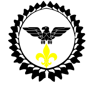 Gamer9935's emblem