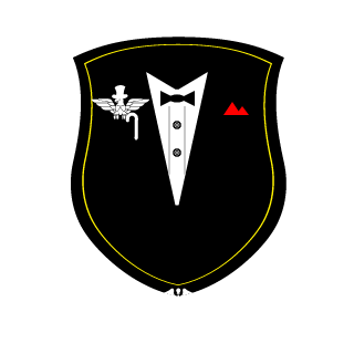 BeingASirX's emblem