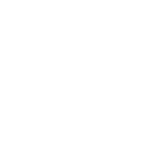 Andre_1k97's emblem