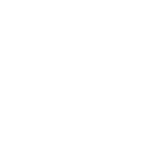 hk zonda13's emblem