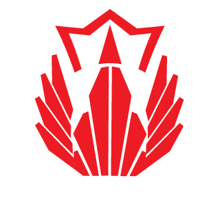 NoNick_V's emblem
