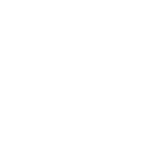 skyfused's emblem