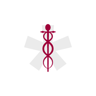 KaMiKaSe212's emblem