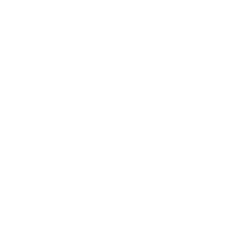 W_-White-Star-_W's emblem