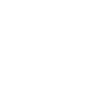 LGTSAS's emblem