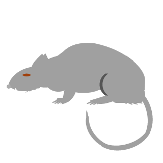 Ordam's emblem