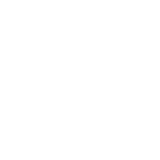 27PAYA27's emblem