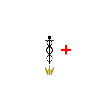 159123gogo's emblem