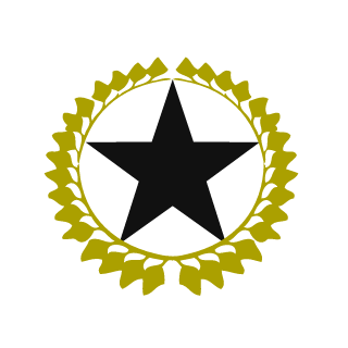SteamShadoww's emblem