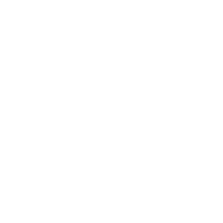 FastKROSS's emblem
