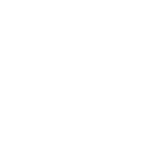 RiskyBizcuits's emblem