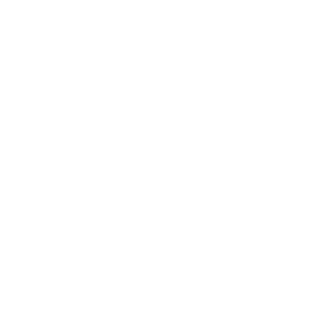 dendy445's emblem