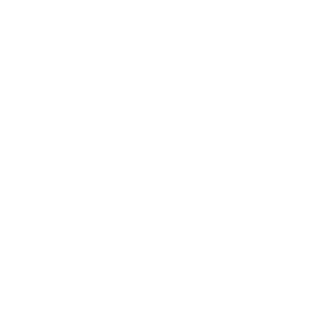 s9y4o16n12's emblem