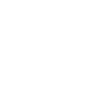 Big N CDN's emblem