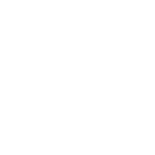 NDPH-3's emblem