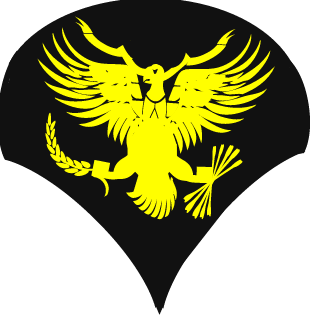 MajorPainmeme's emblem