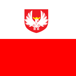 DjNarski's emblem