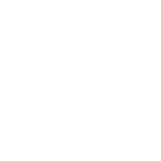 Rigesz91's emblem