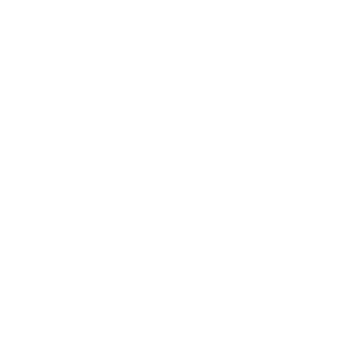 WiTyA95's emblem