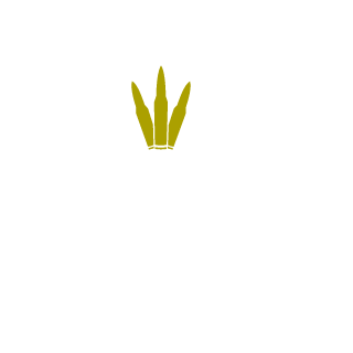 Bobo44x's emblem