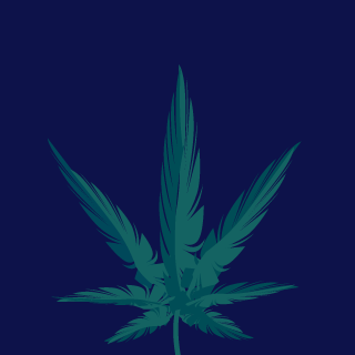 nullvoiid's emblem