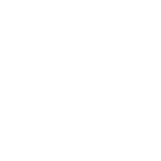 CITY0227's emblem