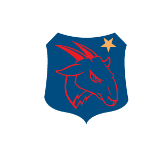 Fox2Cat's emblem