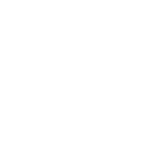 CaioMcLovin's emblem