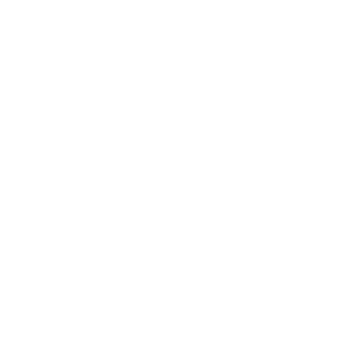 lisav04's emblem
