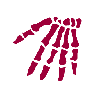 485367v's emblem