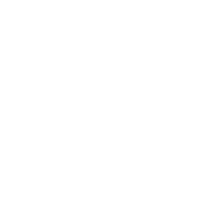 ProsysDK's emblem