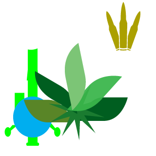 Tactical-Toker's emblem