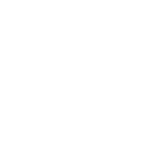 InsanKun's emblem