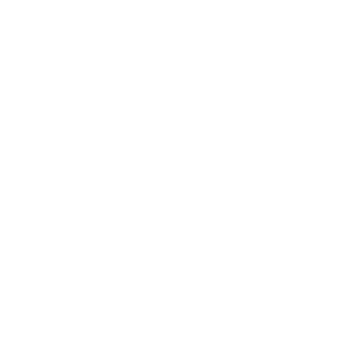 DSDROSE's emblem