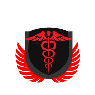 852a0ee729ff18f6's emblem