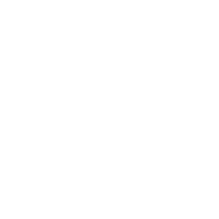 TYNK338's emblem